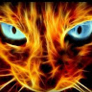 Meet your Posher, Kitty